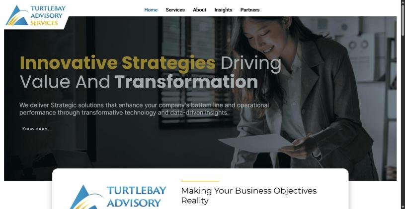 Homepage of TurtleBay Advisory Services